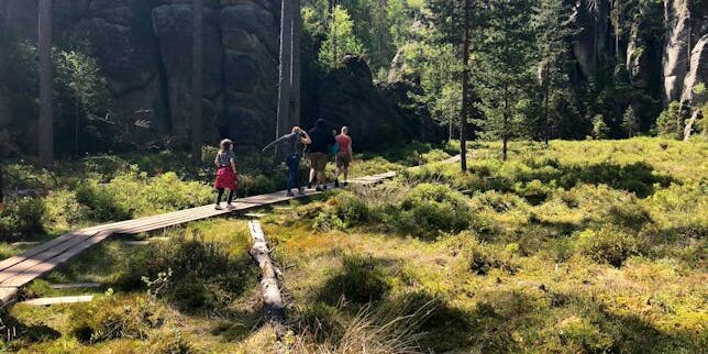Olio Extravergine d’Oliva Italiano – Polifenoli per la Salute Bottiglia di olio extravergine d'oliva italiano ricco di polifenoli