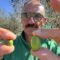 Titolare del Frantoio Gentili con le olive della raccolta 2026